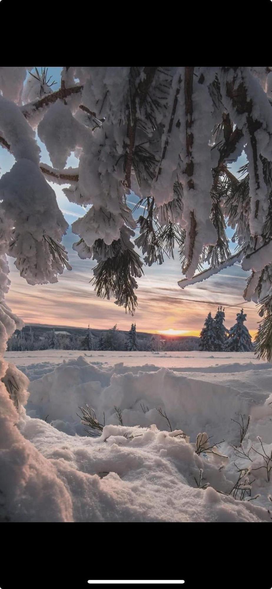 Haus Konthe, Appartement Winterberg Zewnętrze zdjęcie